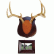 Dead Deer Cam2 True Classic Antler Mount W Frame