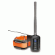 Dogtra PATHFINDER Training Collar and GPS w/Transmitter, Orange PATHFINDER