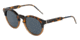 Dolce&amp;Gabbana DG4329 Bifocal Prescription Sunglasses DG4329-3168R5-50 - Lens Diameter 50 mm, Frame Color Blue Havana/transp Brown