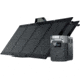 EcoFlow DELTA 1300 w/ 2 Solar Panel, 110W, Black, DELTA1300-2