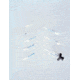 Eppendorf Combitips Plus Tips for Eppendorf Repeater Plus Pipettor 022496107 Biopur Combitips Plus Tips, Sterile