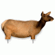 Extreme Dimension Wildlife Calls Phantom HD Decoy - Cow Elk ED-PD-505