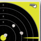EZ-Aim Allen Non-Adhesive Splash Bullseye Target, Green, 12X12, 15214