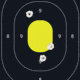 EZ-Aim Allen Splash Reactive Target IPSC Silhouette Paper Hanging, 12.50 x 18.25in, 8 Pack, Chartreuse/Black, 15372-30