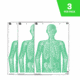 EZ-Aim Fun Group Paper Target Assortment, 12inW x 18inH, 3-Pack, Green, 15651
