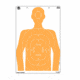 EZ-Aim Fun Tough Crowd Paper Shooting Targets, 23inW x 35inH, 3-Targets, Multi, 15658