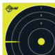 EZ-Aim Non-Adhesive Splash Bullseye Target, Green, 8X8, 15213