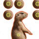 EZ-Aim Prairie Dog Target, 8X8, 15210