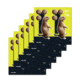 EZ-Aim Splash Non-Adhesive Prairie Dog Target, Green, 8X8, 15264
