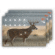 EZ-Aim Splash Non-Adhesive Whitetail Target, Green, 13X24, 15268