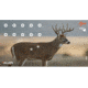 EZ-Aim Splash Non-Adhesive Whitetail Target, Green, 13X24, 15268