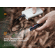 Fenix Lighting E05R Lithium Ion 400 Lumens Luminus SST20 LED Flashlight, Black, E05RG2BK