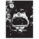 Field Ethos Journal Subscription - Print Publication - Free Issue - Vol 2, 2024, Multi, ETHO-220000-01