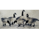 Final Approach FA Last Pass HD Field Honkers - 6 Pack 474170