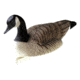 Final Appraoch Standard Floating Canada Goose 474161