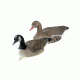 Final Approach Standard Size Canada Floater,Bulk 474161B