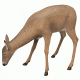 Flambeau Grazing Doe Decoy, Brown 5967GD