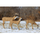 Flambeau Grazing Doe Decoy, Brown, 5967GD