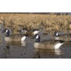 Flambeau Water Pack Canada Goose Decoy