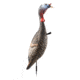 Flextone Funky Chicken Gen 2 Decoy, Black, FLX-FLXDY330