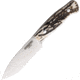 Forester Terra Fixed Blade Stag, FOR002CI