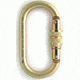 Fusion Ovatti Steel Oval Carabiner, Gold 101919