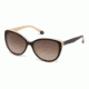 Gant GA8054 Sunglasses - Dark Brown Frame Color