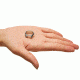 Guard Dog Security BearRings, Silver, Small, AP-GDBR-S7