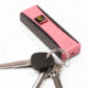 Guard Dog Security Guard Dog Hornet 2 Stun Gun, Light, 120db Personal Alarm Pk