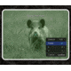 Guide Sensmart DR Series DR30 2.1-16.8x30mm Night Vision Rifle Scope, 1920x1080, Black, DR30