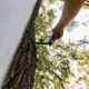 HALF RACK The Bow Wing, 10in, Black, Small, HR1650
