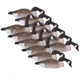 Hard Core Field Series Canada Goose Shells - Touchdown, 12-pack, 01-100-0021