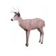 Hard Core Ole Jack Extremely Life-Like Deer Decoy 01-400-0001