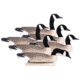 Hard Core Rugged Canada Goose Floaters Touchdown W/ 6-Slot Bag, 6-pack, 01-100-0038
