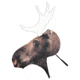 Heads Up Decoy Moose Decoy, Brown 73691