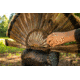 Higdon Outdoors APEX Strutter Hard Body Turkey, Lifesize, 63148