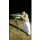 Hog Saddle ENHANCED SS Loophole Rifle Sling
