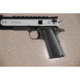 Hogue Govt. Model G-10 - Black 45169