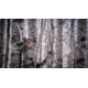Hooyman 14 ft Pole Saw, Black/Green, 1117119