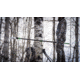 Hooyman 14 ft Pole Saw, Black/Green, 1117119