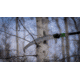 Hooyman 14 ft Pole Saw, Black/Green, 1117119