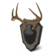 Hunters Specialties Antler Skull Cap Mount, Black, HS-BB-SC-ASSY
