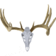 Hunters Specialties Metal Magic Euro Mount Kit, Bone White, 1410625