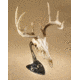 Hunters Specialties SKH-RTTH-ASSY-BLK Realtree Table Hooker Small/Mid-Size Game SKHRTTHASSYBLK