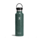 Hydro Flask 21 Oz Standard Flex Cap, Fir, 21 oz, S21SX332