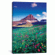 iCanvas Reynolds Mountain, Lewis Range, Rocky Mountains, Glacier National Park, Montana, USA by Gareth McCormack Canvas Print, Multi, 18 x 12 GAR76-1PC3-18x12