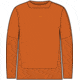 Icebreaker ZoneKnit Long Sleeve T-Shirt - Men's, Earth, Large, IB0A56KI865L
