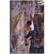 Jacks Canyon, Deidre Burton, Publisher - Ntl Book Network