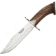 Joker Knives Bowie Fixed Blade Knife, 14in Overall, 7.75in Satin Vanadium Molybdenum Steel Clip Point Blade, Crown Stag Handle, SS Guard, Brown Leather Belt Sheath, CN100
