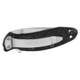 Kershaw Scallion Assisted Opening Folding Knife, 2.4in, 420HC, Serrated Drop Point Blade, Glass-Filled Nylon, Black Handle, 1620ST